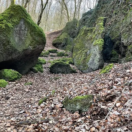 Fewo-elzerhof 멘디흐