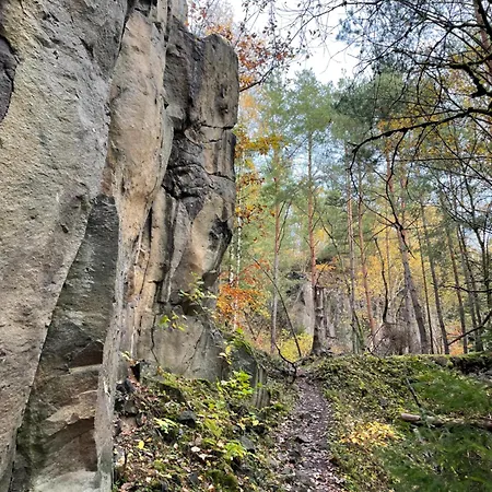 Fewo-elzerhof 아파트 멘디흐