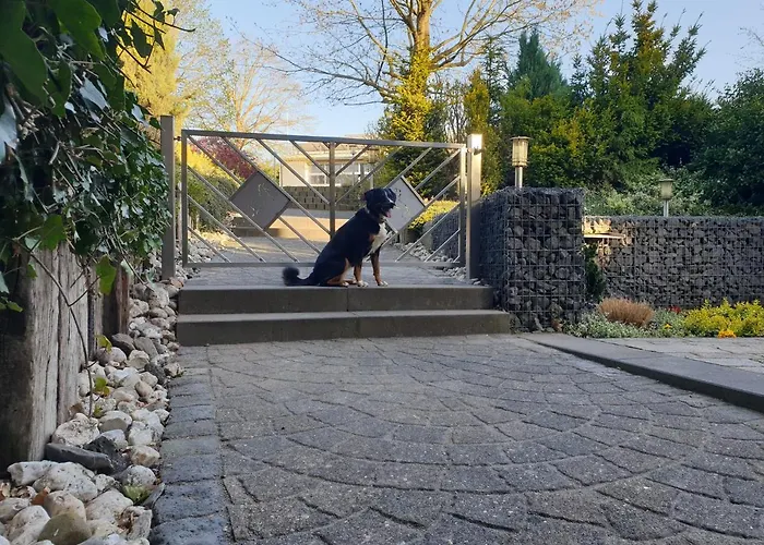 Fewo-elzerhof 公寓