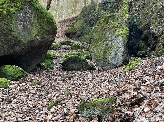 Fewo-elzerhof Mendig